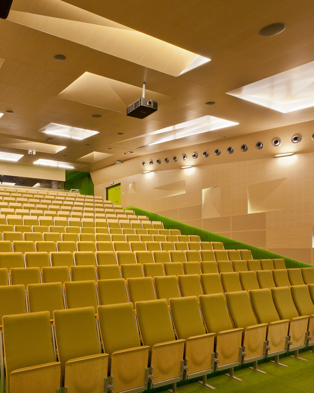 Lecture hall with Gustafs timber panels