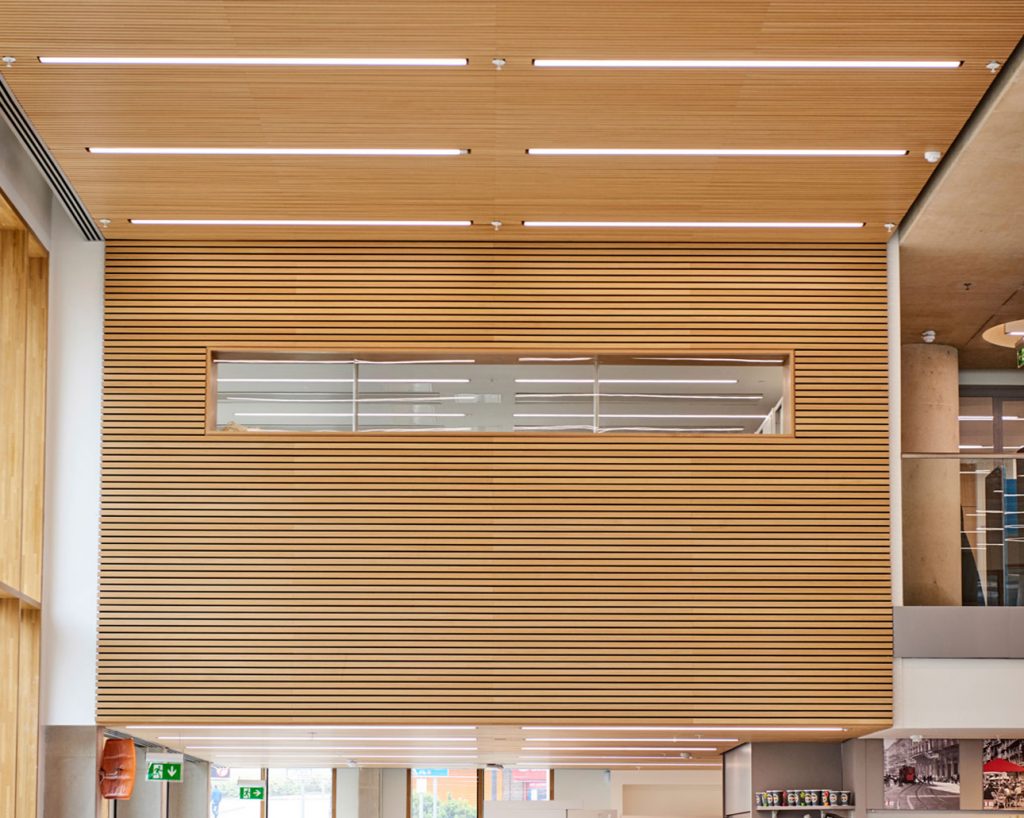 Library interio with acoustic wood panelling