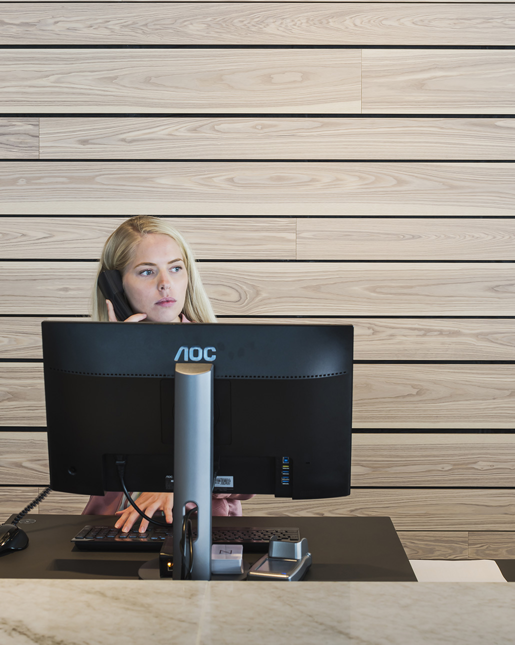 Linear Plank-P Vägg - Bild 2