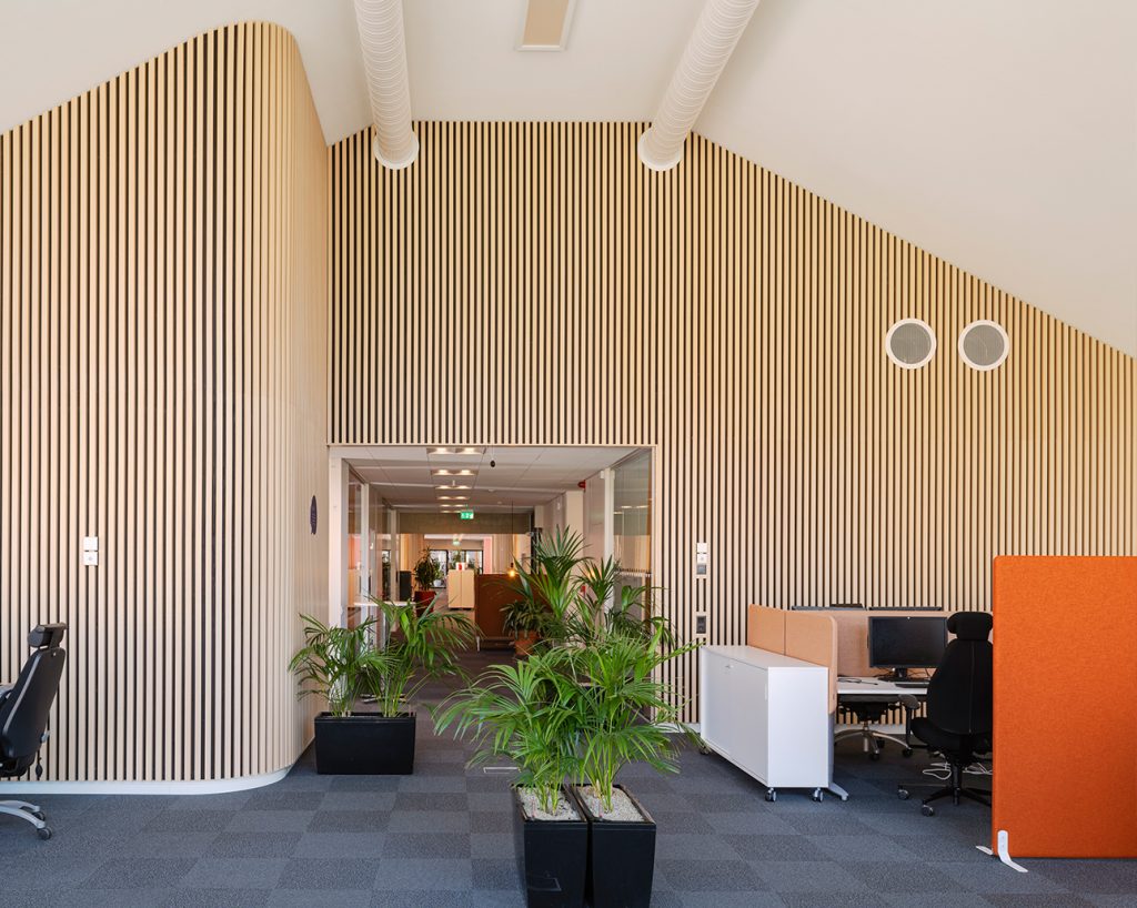Featured office wall with acoustic wood slats