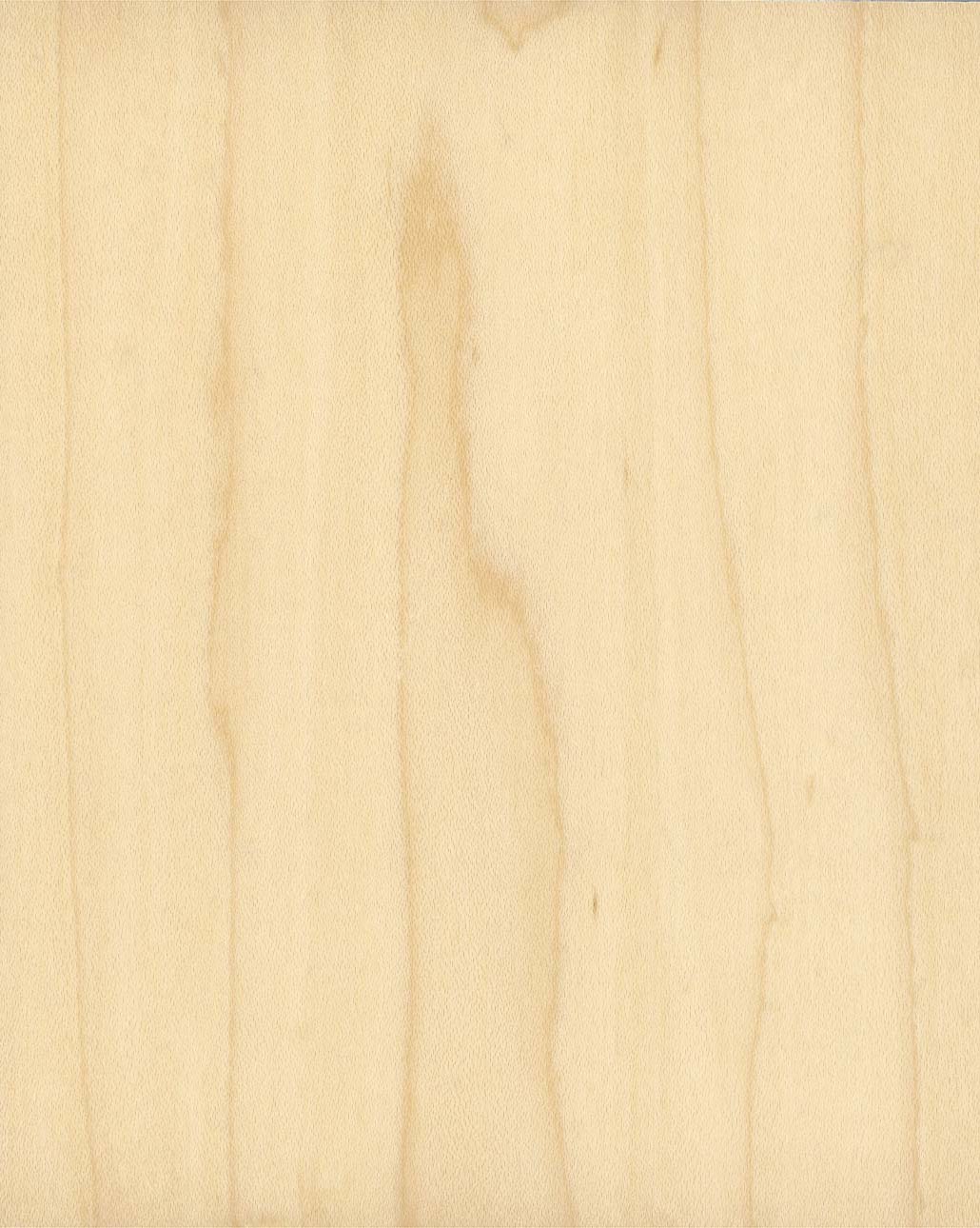 Maple veneer panel