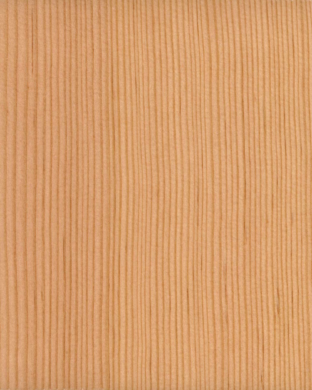 Oregon pine veneer panel