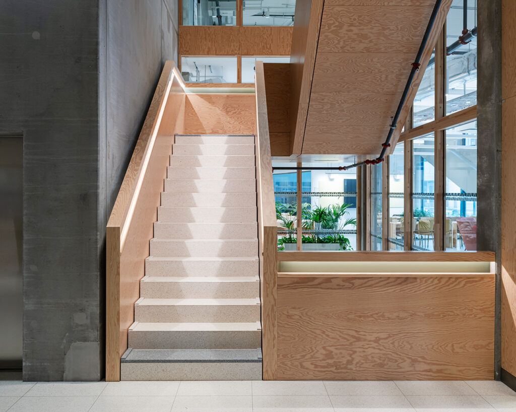 Plywood staircase at Campus Albano