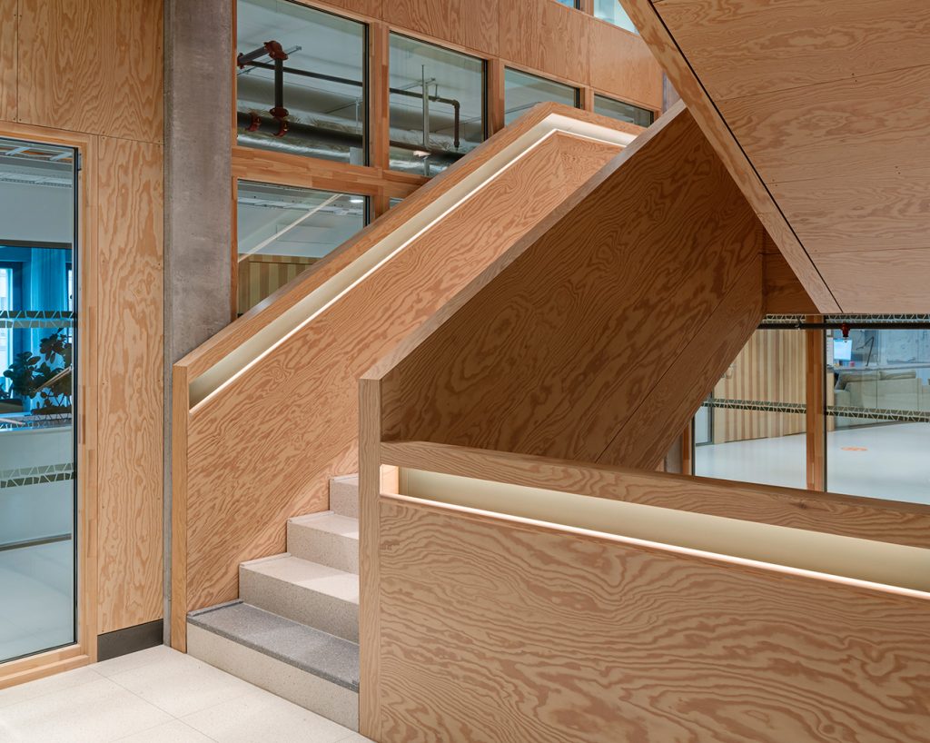 Plywood staircase with integrated lighting