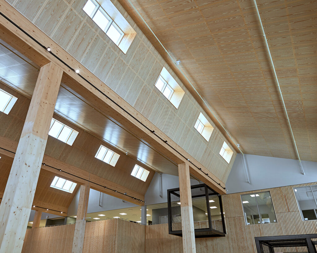 Perforated panels in school atrium