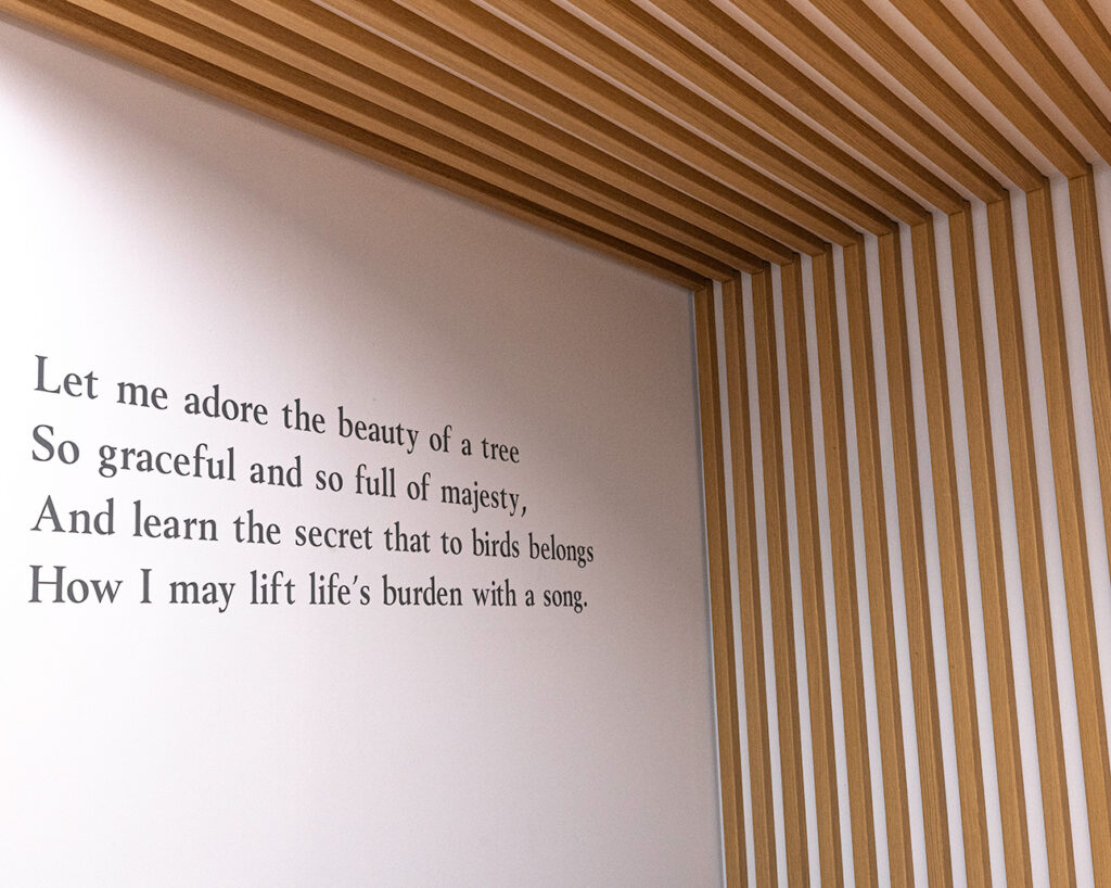 Writing on wall with ribs