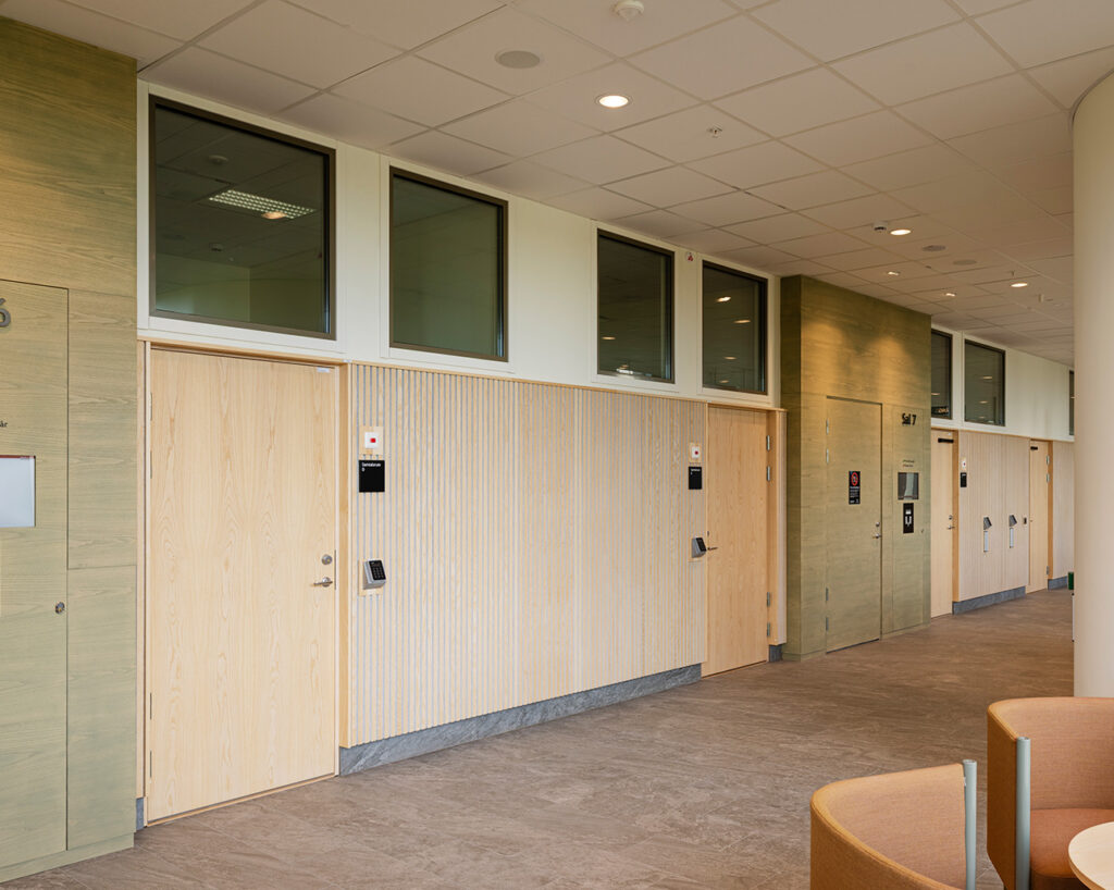 Lamellow in ash veneer on corridor walls