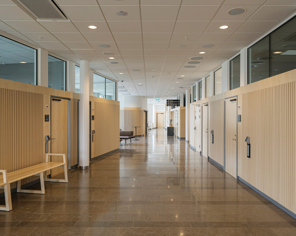 Wooden ribs in ash veneer