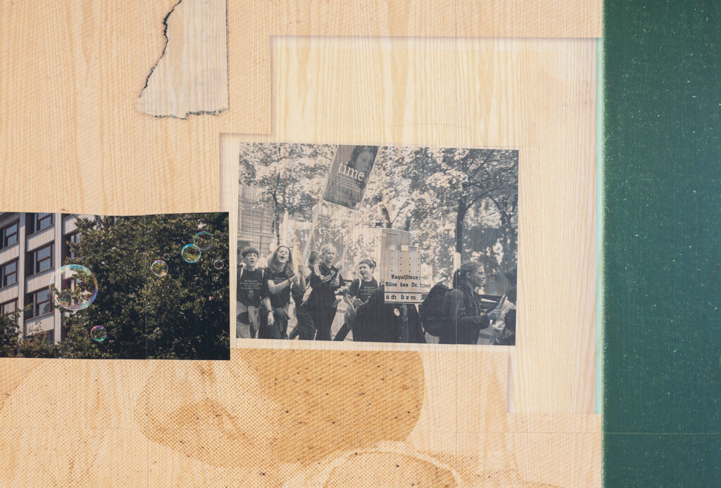 Photographies printed on veneered wall panel