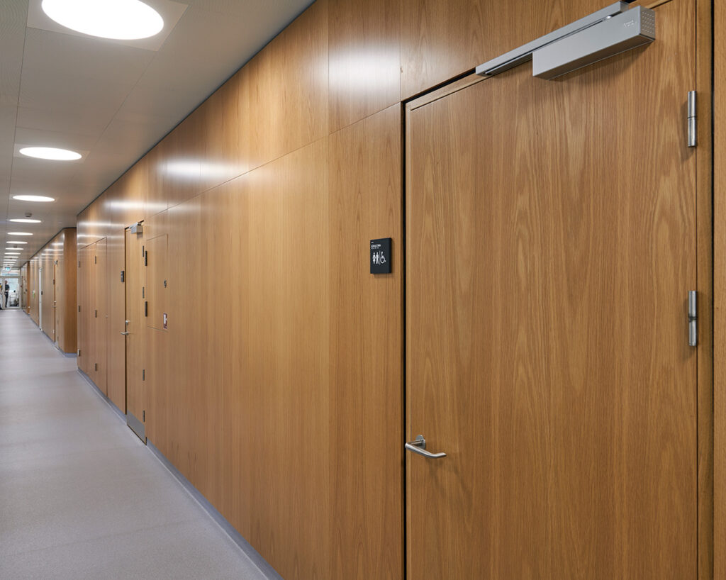 Oak veneered panels in corridor