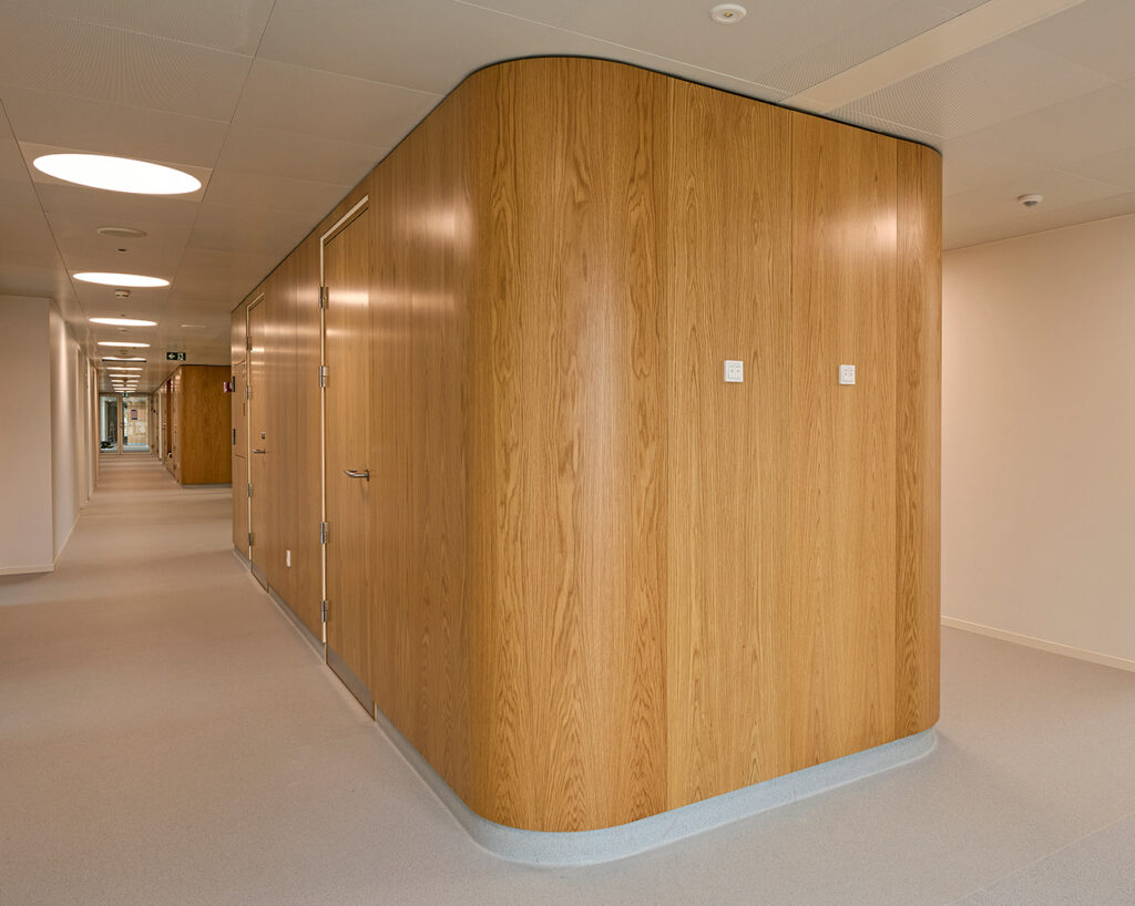 Rounded oak panels in corridor