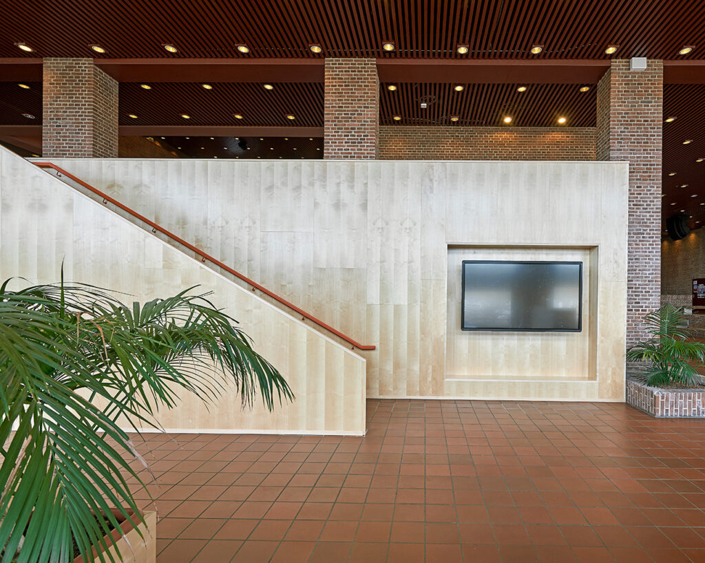 Wall panels in birch veneer