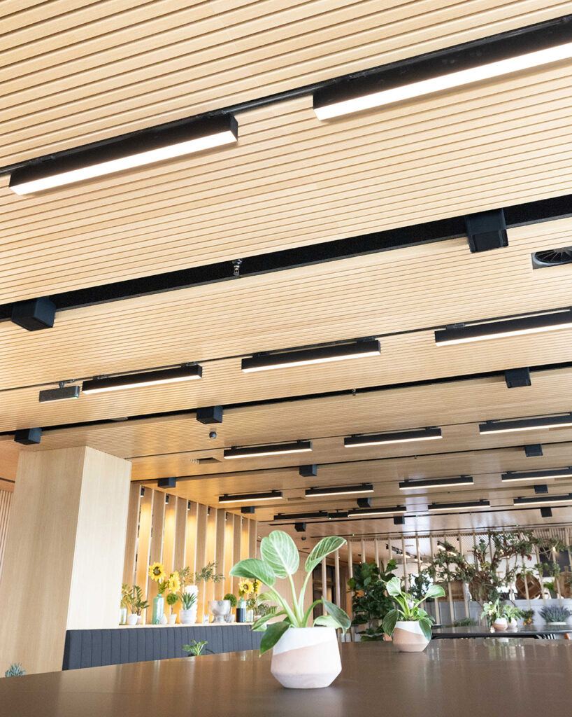 Ceiling oak ribs in dining area