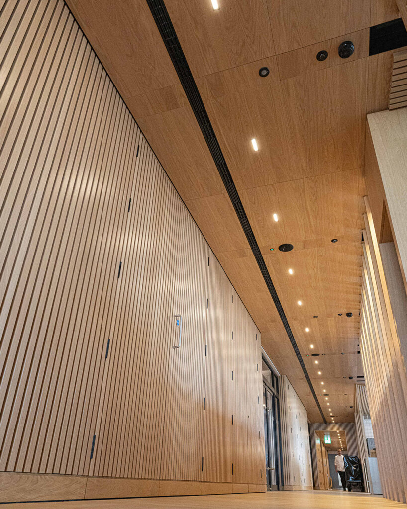 Ceiling panels and wall ribs