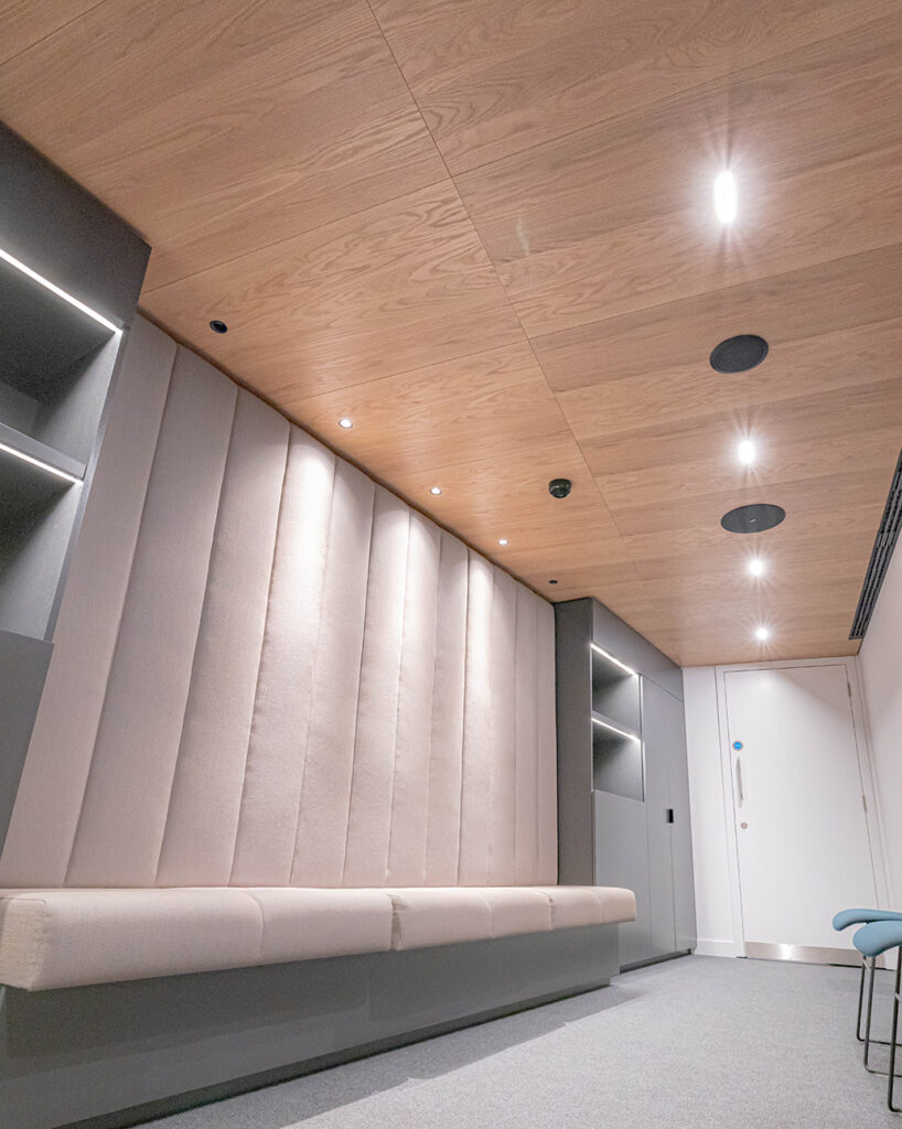 Dressing room ceiling panels